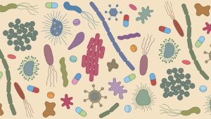 avimehrclinic-resistence-antibiotic