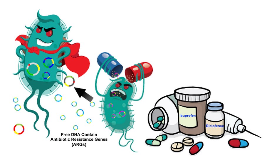 avimehrclinic-Antibiotic-resistance-animal-Copy.jpg