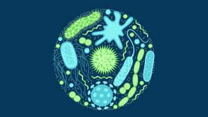 avimehrclinic-Antibiotic-resistance-animal-world.jpg