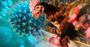 avimehrclinic -AvianInfluenza