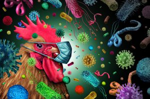 AVIMEHRCLINIC-FLU.jpg
