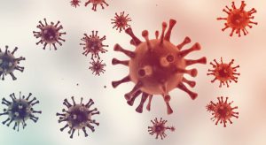 avimehrclinic-Immunosuppression-in-poultry.jpg