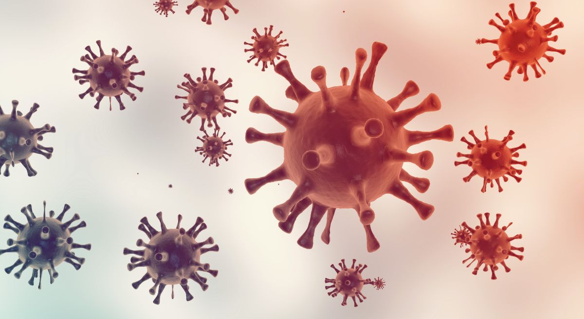 avimehrclinic-Immunosuppression-in-poultry.jpg